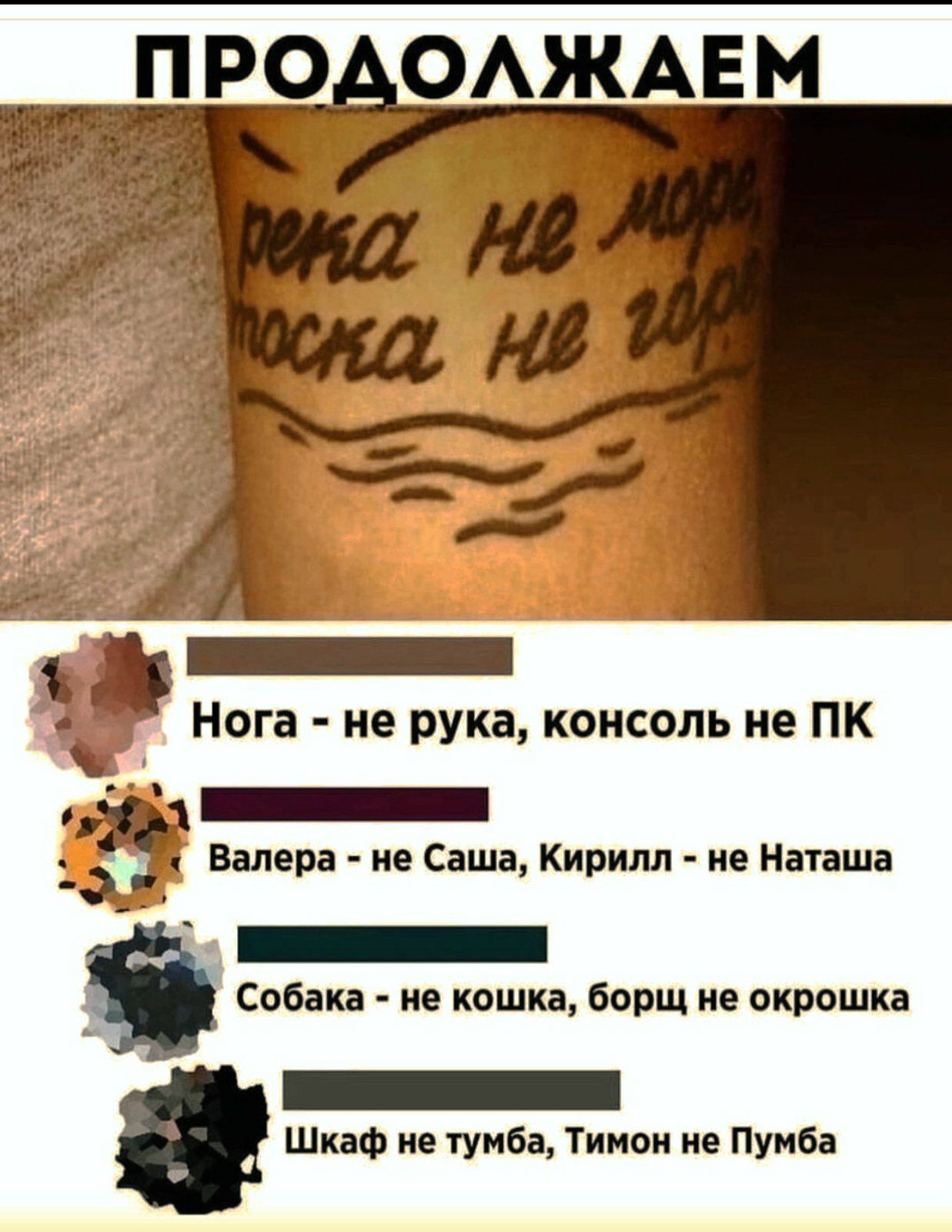 Собака не кошка борщ не окрошка Шкаф не тумба Тимон не Пумба