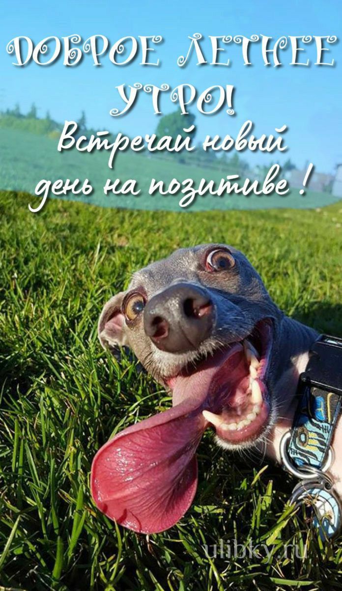 _ 1 за щи