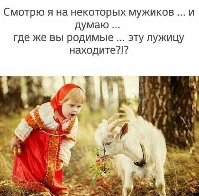 Смотрю я на некоторых мужиков и думаю где же вы родимые эту лужицу находите дь д