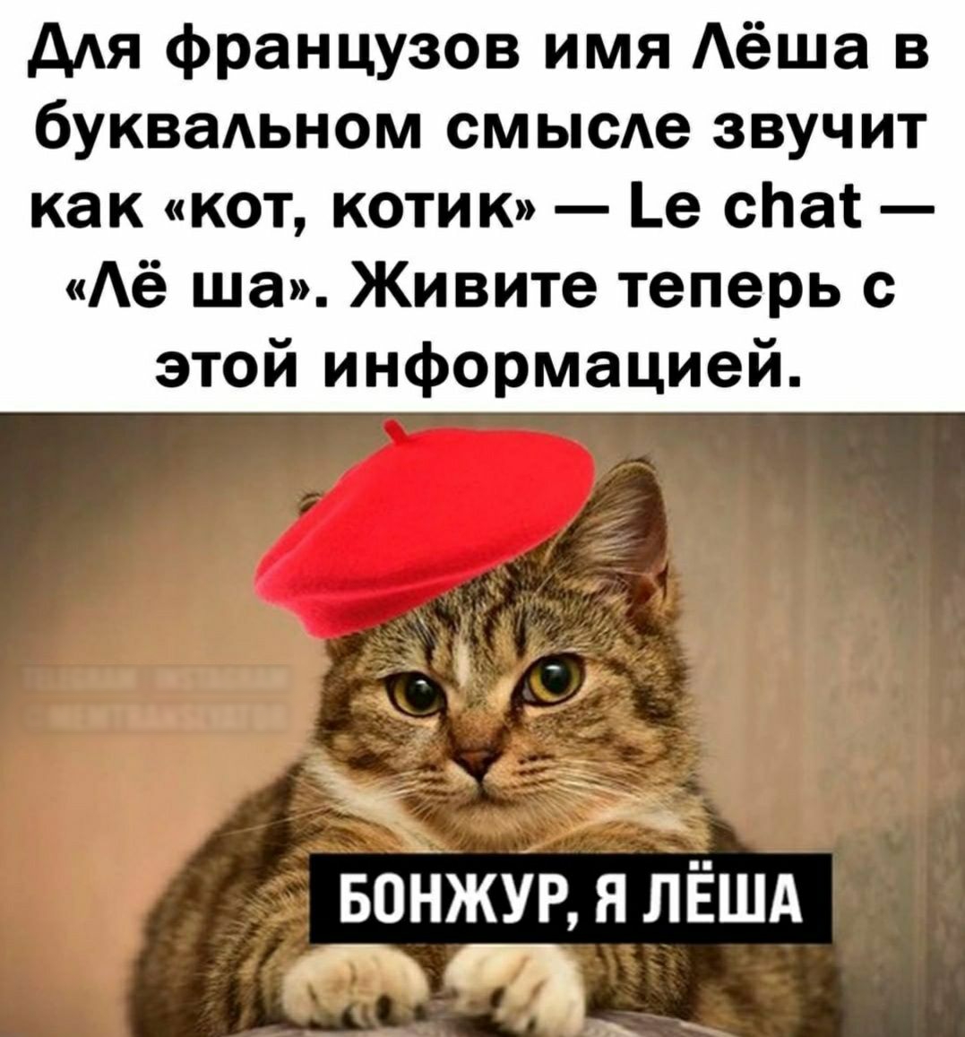 для французов имя Аёша в буквальном смысде звучит как кот котик е спа Аё ша Живите теперь с этой информацией впНжур я ЛЁША гы