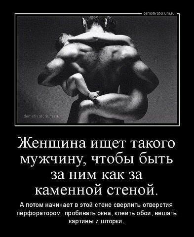 Женщина ищет такого мужчину чтобы быть за ним как за каменной стеной А потм иачинвет этом еще сверлить инерция перфоратором пробить о клеить або вешать причин и шприц