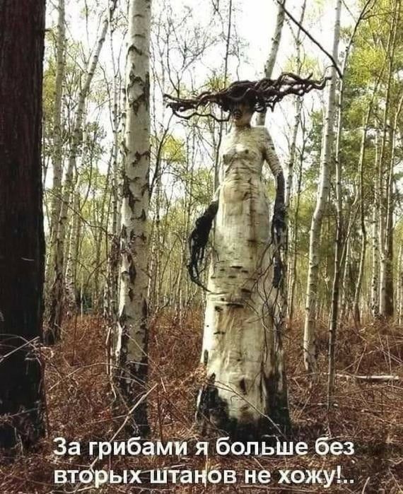 3а ггбами я больще бёз втоых щтаъ6в не хожу