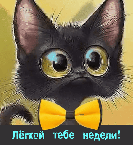 Лёгкой тебе недели