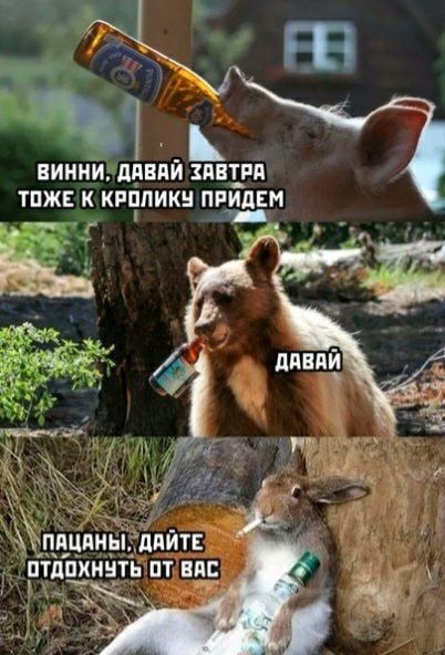 1 ЕИИИИ ЩШЯИ ЯВТРЦ ТПЖЕ К КРППИКН ПРИЛЕМ _ _ 1