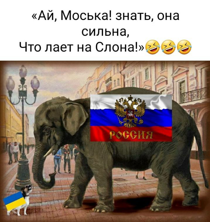 Моська лает на слона картинки