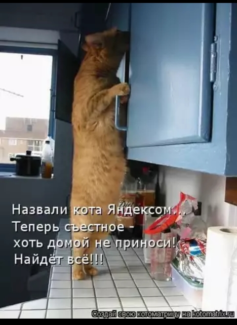 Назвали тата ЯКДе5со Теперь СЁёсгное