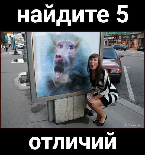 найдите 5 ОТЛИЧИИ