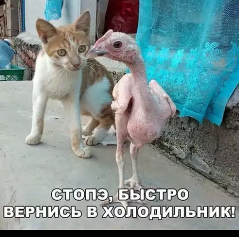стопа _ 32Ё2Ш
