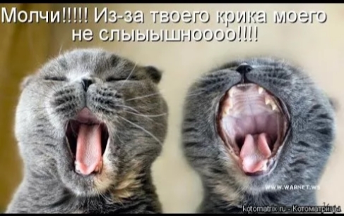 гзоего тип и ыыышгшшо