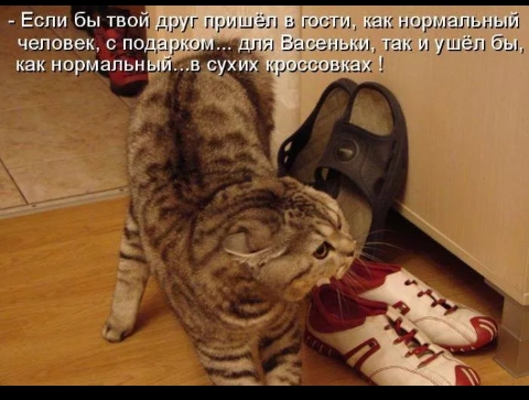 ЧЕЛОВЕК С П и как нпрмапьн