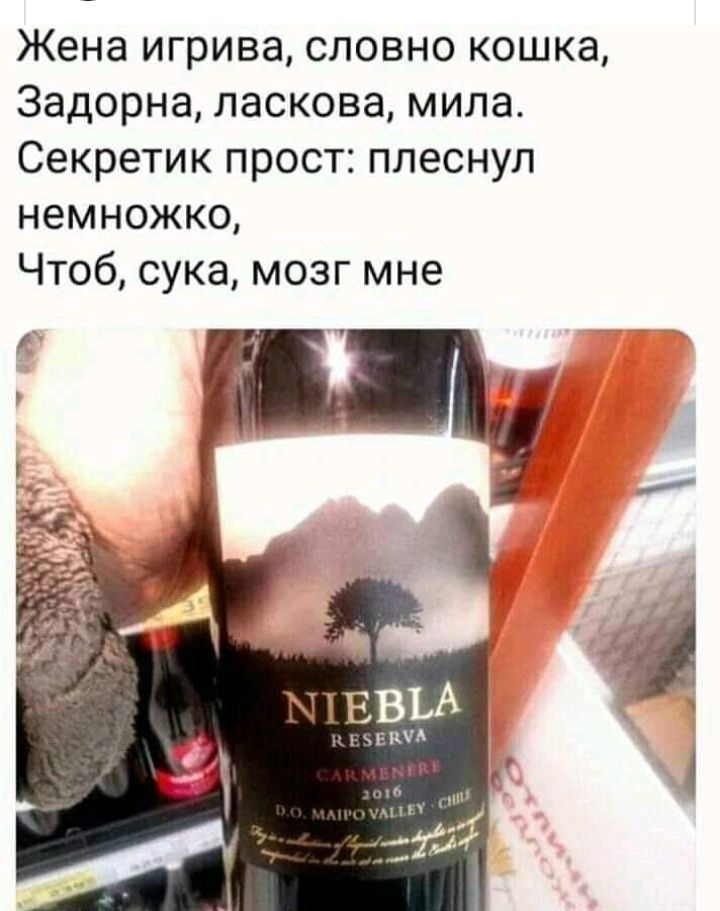 Жена игрива словно кошка Задорна ласкова мила Секретик прост плеснул немножко Чтоб сука мозг мне