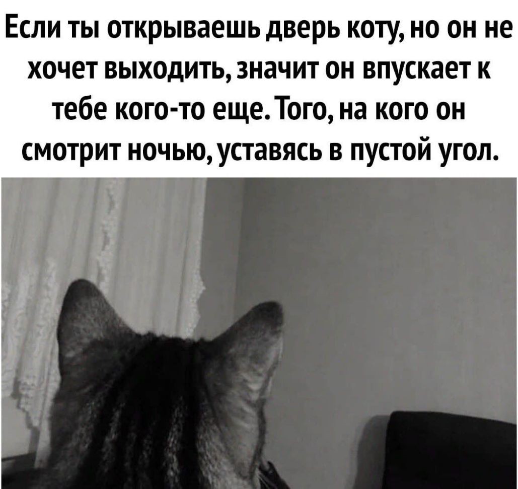 Если ты открываешь дверь коту но он не хочет выходить значит он впускает к тебе кого то ещеТого на кого он смотрит ночью уставясь в пустой угол