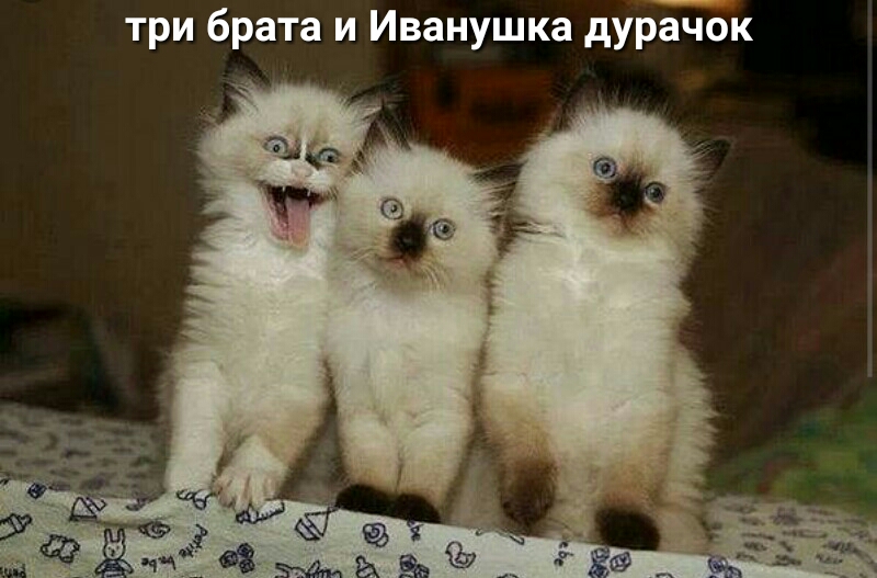 три брата и Иванушка дурЁдок