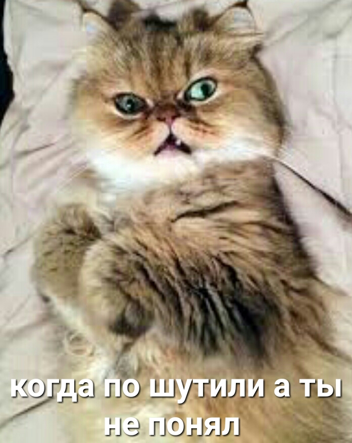А да по шутилзч 1 не понял
