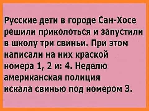 Русские дети в городе Сан Хосе решили приколоться и запустили в школу три свиньи При этом написали на них краской номера 1 2 и 4 Неделю американская полиция искала свинью под номером 3