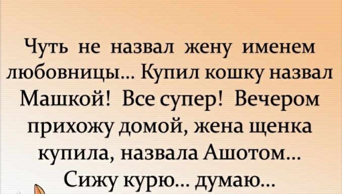 Чуть не назвал жену именем любовницы Купил кошку назвал Машкой Все супер Вечером прихожу домой жена щенка купила назвала Ашотом Сижу курю думаю