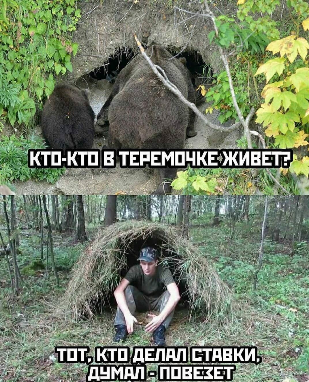 чц КТП КТПВ ЕРЕМПЧКЕФЖИВЕП _