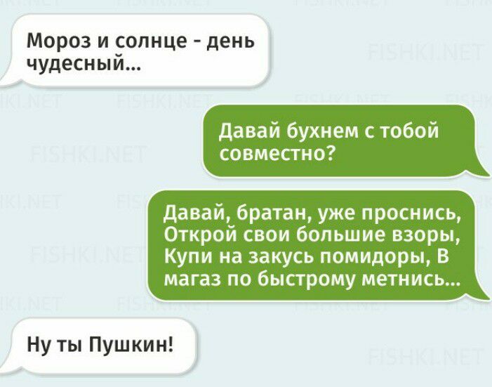 Мороз и солнце день чудесный давай бухнем с тобой совместно Давай братан уже проснись Открой свои большие взоры Купи на закусь помидоры В магаз по быстрому метнись Ну ты Пушкин