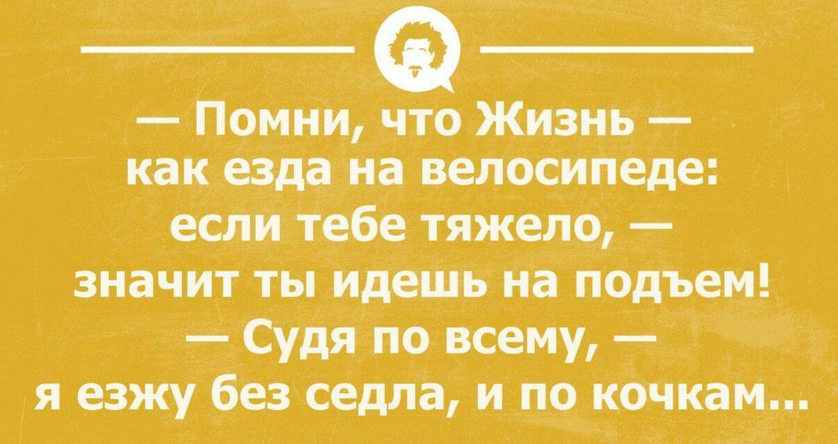 Помни что жизнь как езда на велосипеде _ если тебе тяжело значит ты идешь на подъем_ _ Судя по всему 5 4 я езжу без седла и по кочкам