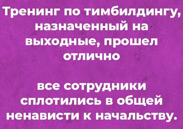 Тренинг по тимбилдингу назначенный на выходные прошел отлично все сотрудники сплотились в общей ненависти к начальству