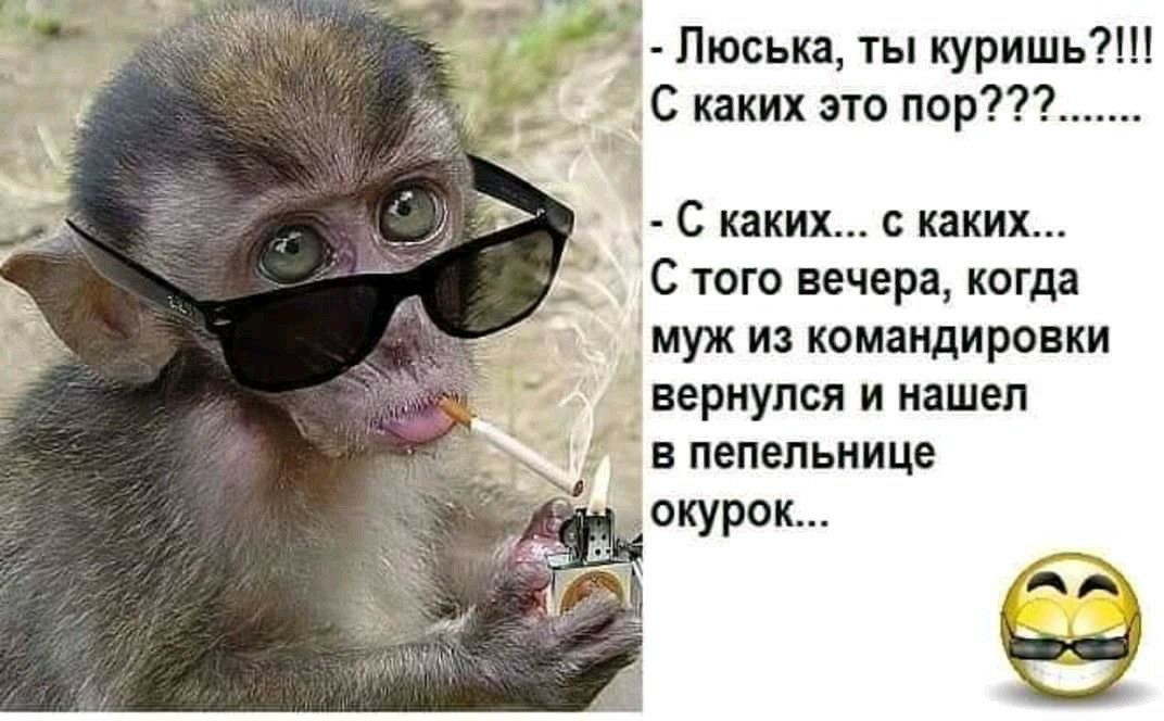 Пюська ты куришь С каких это пор _ С каких с каких С того вечера когда муж из командировки вернулся и нашел в пепельнице окурок