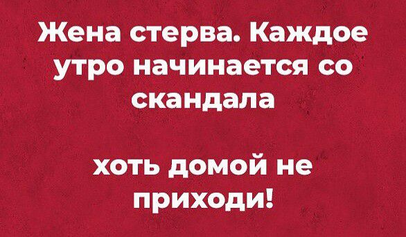 Жена стерва Каждое утро начинается со скандала хоть домой не приходи