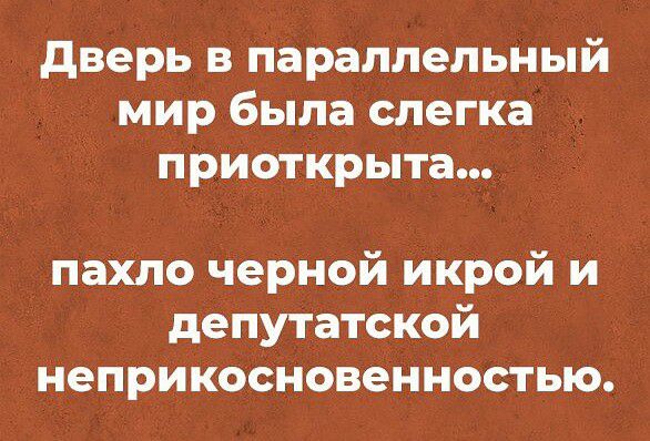 дверь в параллельный мир была слегка приоткрыта пахло черной икрой и депутатской неприкосновенностью