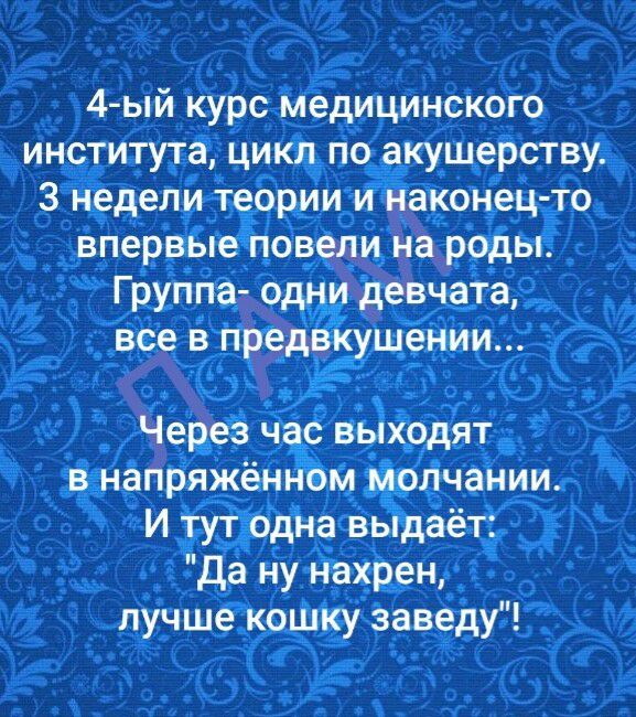 4 ый курс медицинского института цикл по акушерству 3 недели теории и наконец то впервые повели на роды Г руппа одни девчата все в предвкушении Через час выходят в напряжённом молчании И тут одна выдаёт Да ну нахрен лучше кошку заведу