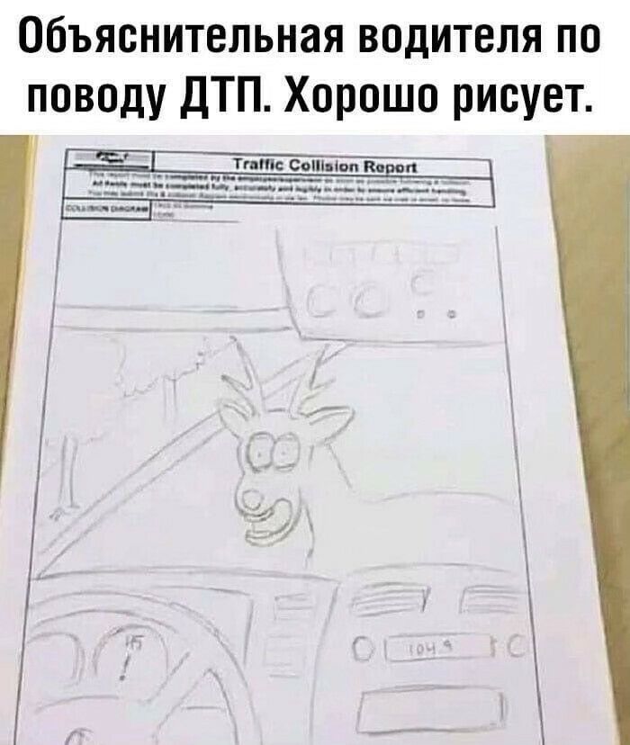 Объяснительная водителя по поводу ДТП Хорошо рисует тп сып шпиц п_