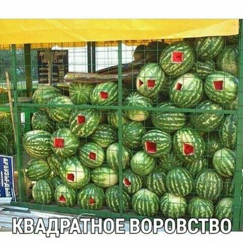 Ч ъ Ь Пвщрідчтн днів ё РФ вісті івб