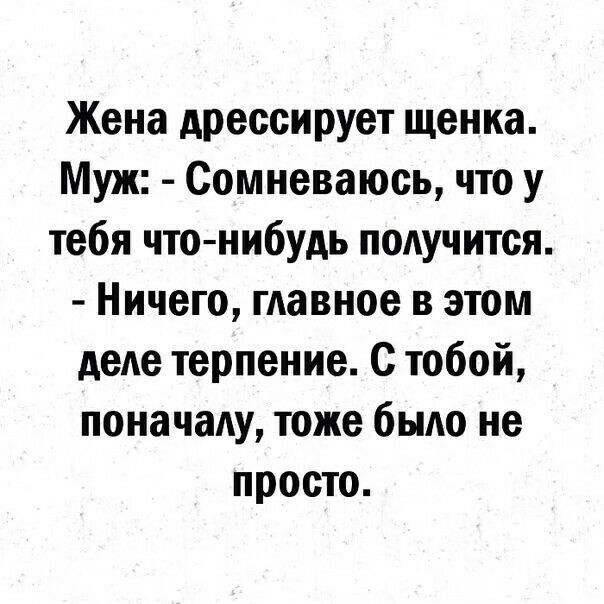 Жена дрессирует щенка Муж Сомневаюсь что у тебя что нибудь подучится Ничего главное в этом деде терпение с тобой поначалу тоже было не просто