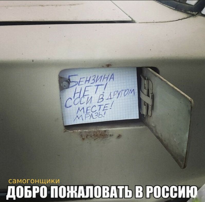СдМОГОНЩИКИ ЛПБРВ ППЖШПВА ЦШЗВИНИ