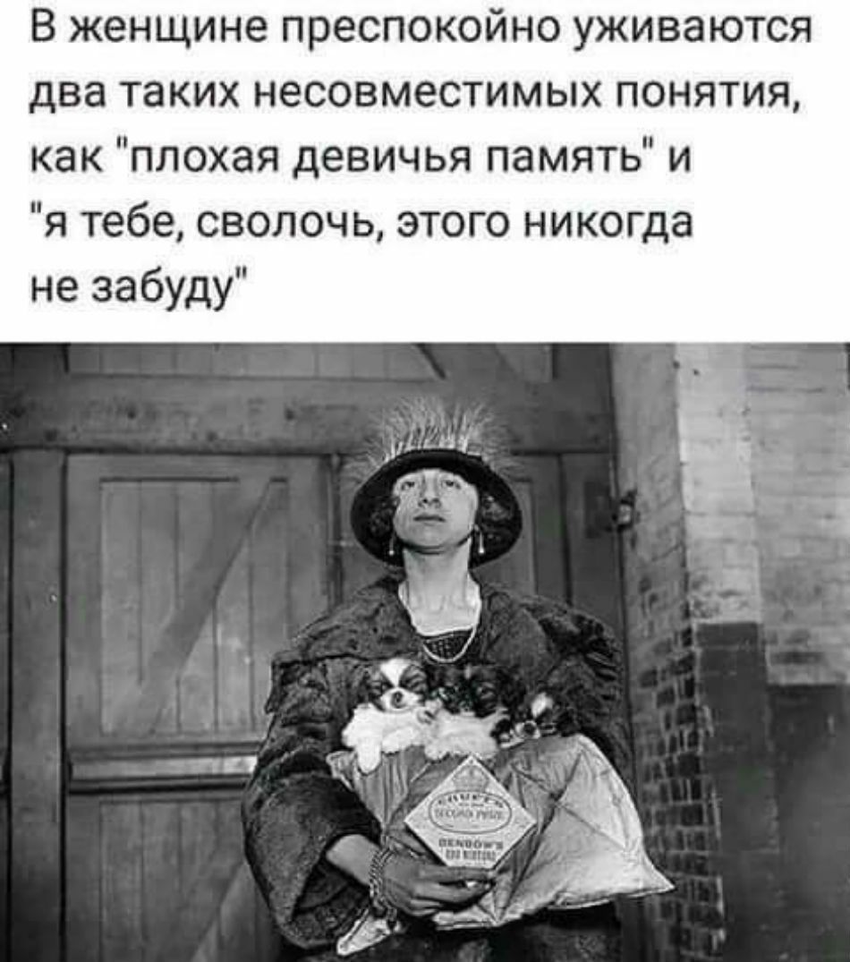 В женщине преспокойно уживаются два таких несовместимых понятия как плохая девичья память и я тебе сволочь этого никогда не забуду