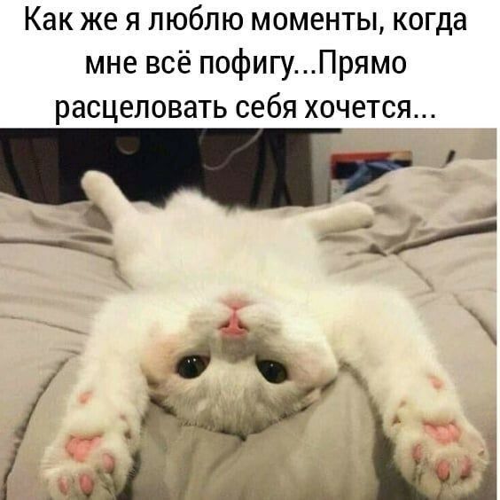 Как же я люблю моменты, когда мне всё пофигу...прямо расцеловать себя хочется...