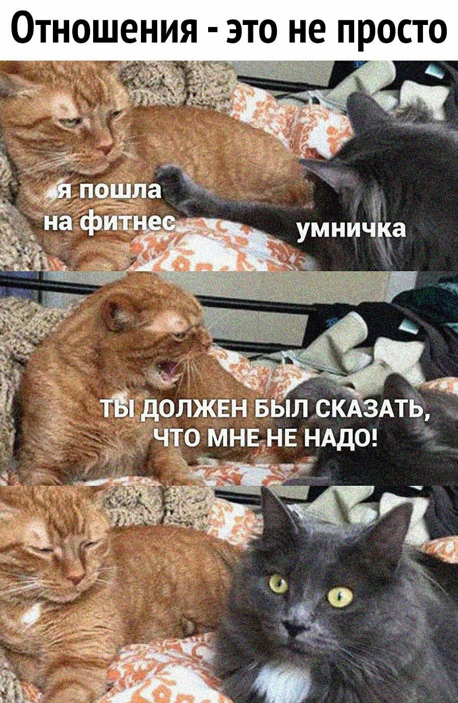 Отношения э то не просто 1Бпдолжвнвыл скА Ать ЧТО МНЕ_ НЕ НАДО у