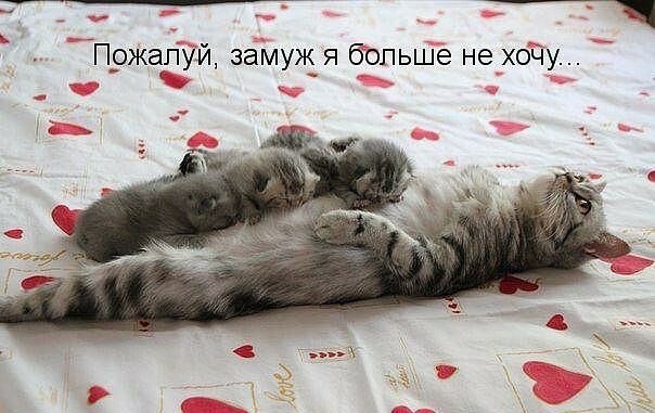 7 Пожалуй замуж я больше не хочу