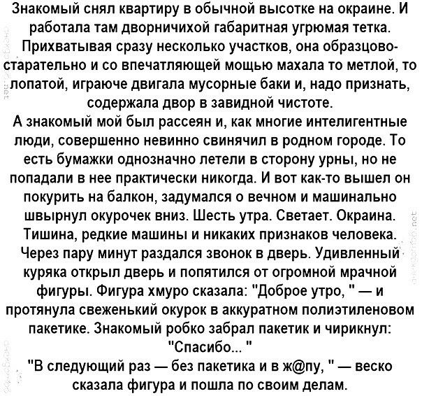 Знакомый снял квартиру в обычной высотке на окраине И работала там дворничихой габаритная угрюмая тетка Прихватывая сразу несколько участков она образцово старательно и со впечатляющей мощью махала то метлой то лопатой играюче двигала мусорные баки и надо признать содержала двор в завидной чистоте А знакомый мой был рассеян и как многие интелигентные люди совершенно невинно свинячил в родном город