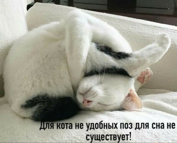 па не удобных ПОЗ дЛЯ сна не _ сущесгвуэт