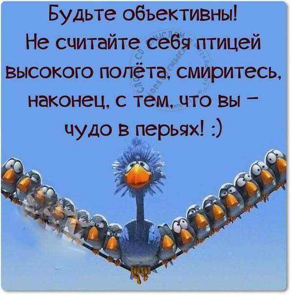 Будьте считайте 62158 птицей попёш старшей с тем вы чуда в темах
