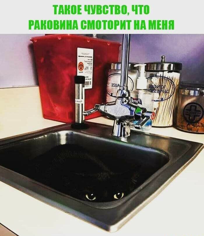 ТАНВЕ чувство ЧШ гмювинд ВМВТШИТ нд МНП
