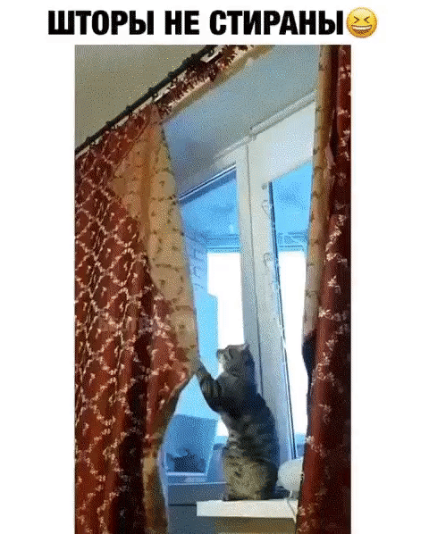 шторы нн стир ные