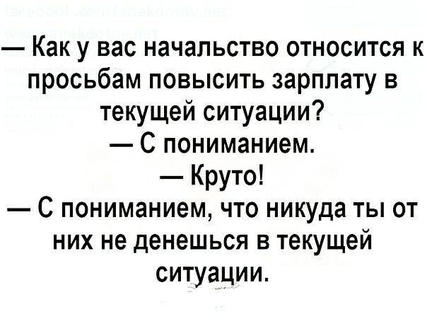 Как у вас начальство относится к просьбам повысить зарплату в текущей ситуации С пониманием Круто С пониманием что никуда ты от них не денешься в текущей ситуации