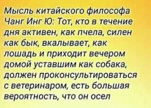 Мысль китайского Философа Чанг Инг Ю Тот кто в течение дня активен как пчела силен как бык вкалывает как лошадь и приходит вечером домой уставшим как собака должен проконсультироваться с ветеринаром есть большая вероятность что он осел