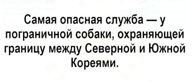 Самая опасная служба у пограничной собаки охраняющей границу между Северной и Южной Кореями