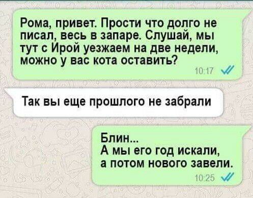 Рома привет Прости что додго не писал неоь в запаре Слушаи мы тут с Ирои уезжаем на две недели можно у вас кота оставить ш Так вы еще прошлого не забрали Блин А мы его год искали а потом нового завели и И