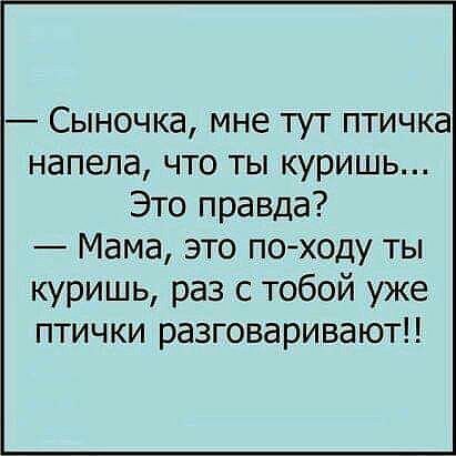 Сыночка мне тут птичка напепа что ты куришь Это правда Мама это по ходу ты куришь раз с тобой уже птички разговаривают