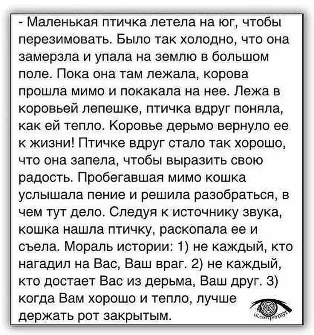 Маленькая птичка летела на юг чтобы перезимовать Было так холодно что она замерзла и упала на землю в большом поле Пока она там лежала корова прошла мимо и покакала на нее Лежа в коровьей лепешке птичка вдруг поняла как ей тепло Коровье дерьмо вернуло ее к жизни Птичке вдруг стало так хорошо что она запела чтобы выразить свою радость Пробегавшая мимо кошка услышала пение и решила разобраться в чем