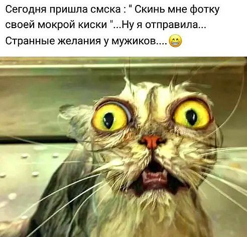 Сегодня пришла омска Скинь мне фотку своей мокрой киски Ну я отправила Странные желания у мужикове