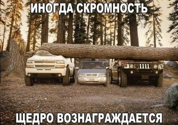 т т чщедіібвбзндітшддется