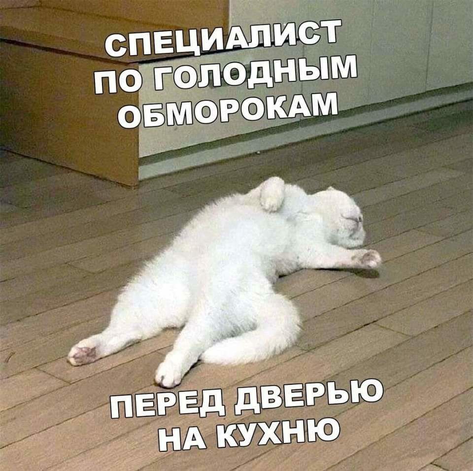 Спвциьлист пс подным   перед дверью  накухню